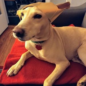 Meet your Posher, Alexandra